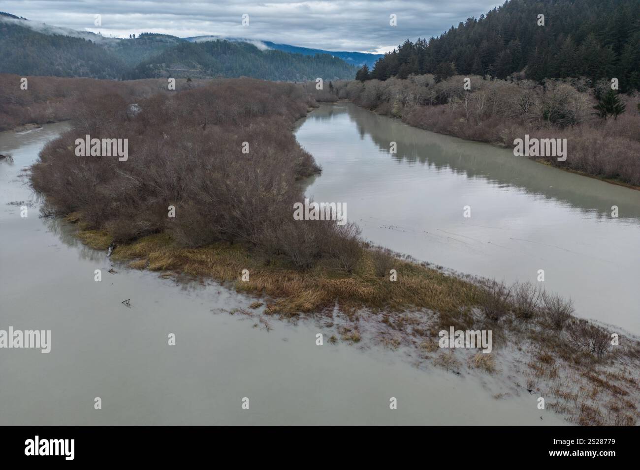 Il fiume klamath, vicino al punto in cui si unisce all'oceano Pacifico durante l'inverno, tutti gli alberi hanno lasciato cadere le loro foglie e sono senza foglie. Foto Stock