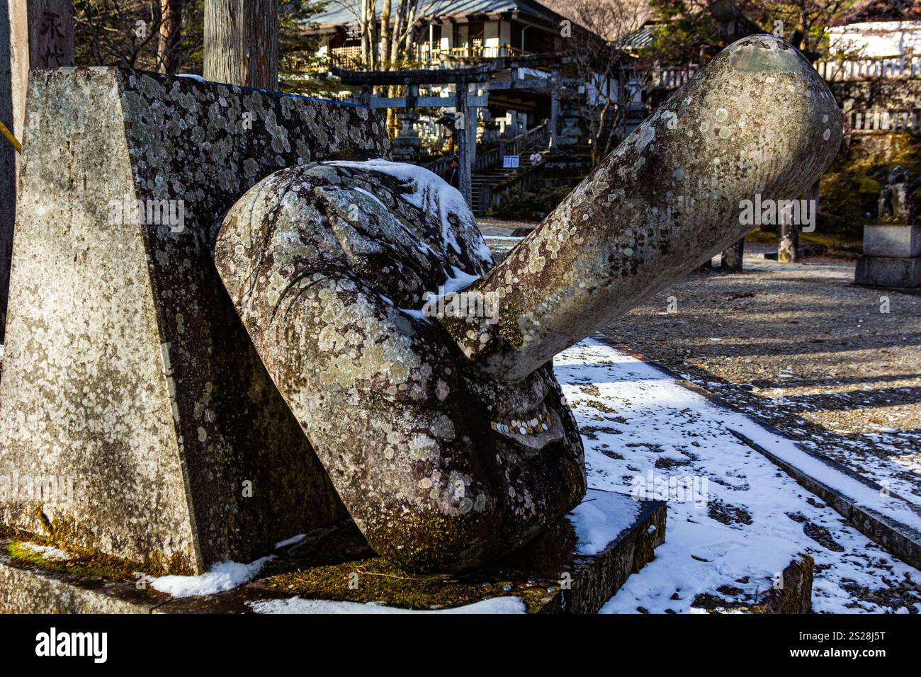 I Tengu sono un tipo di creatura leggendaria che si trova nella religione shintoista del Giappone. Sono considerati un tipo di esseri soprannaturali o spiriti. I dieci Foto Stock