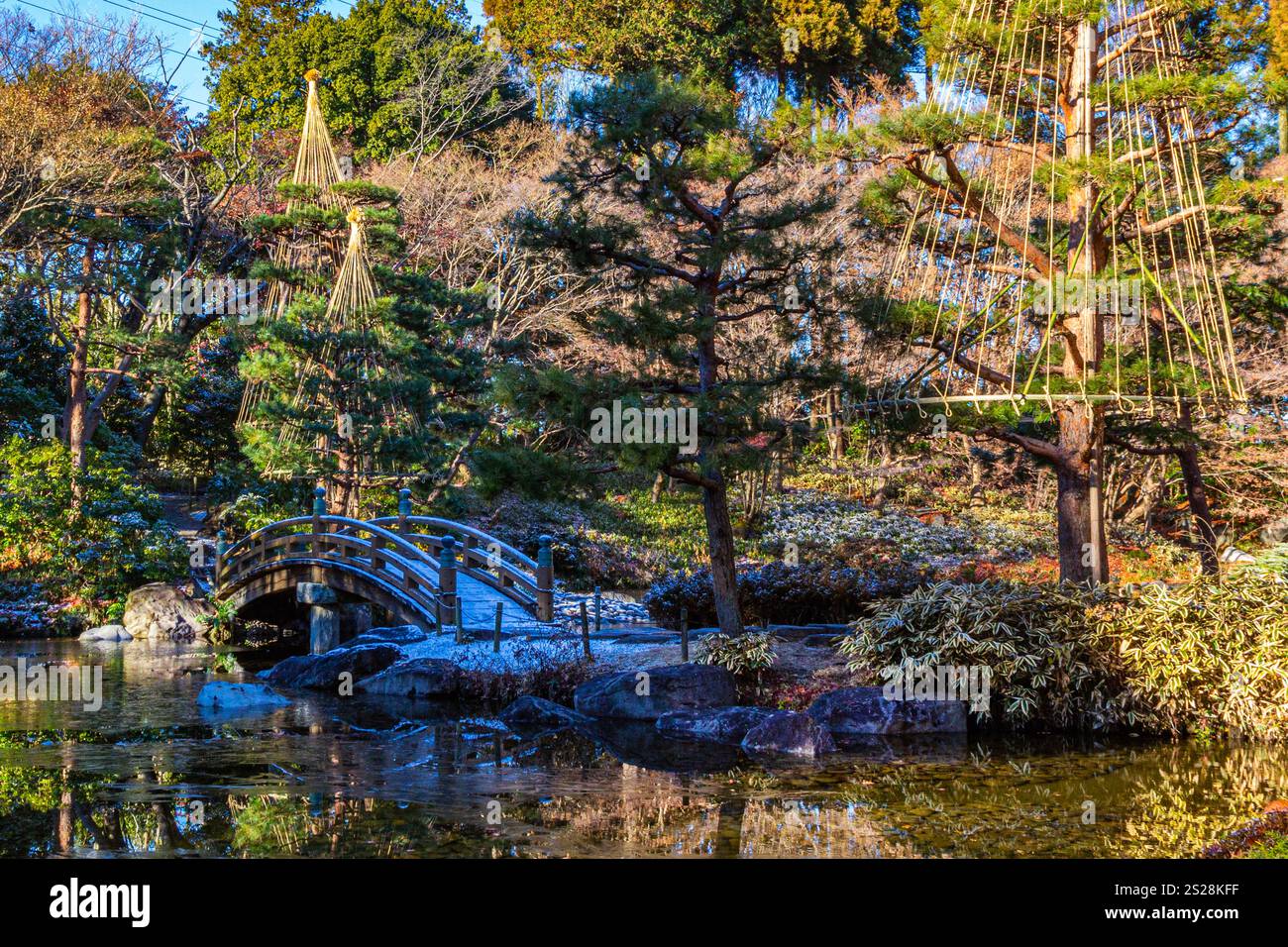 Tochigi Prefectural Central Park, sviluppato come progetto commemorativo per il 50° anniversario del regno dell'imperatore Showa, inaugurato nel 1982. Il giardino W Foto Stock