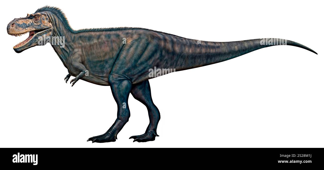 Albertosaurus sarcophagus immagini e fotografie stock ad alta ...