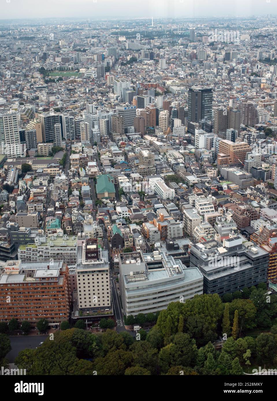 Vista dall'edificio del governo metropolitano di Tokyo a Shinjuku Tokyo Giappone Foto Stock