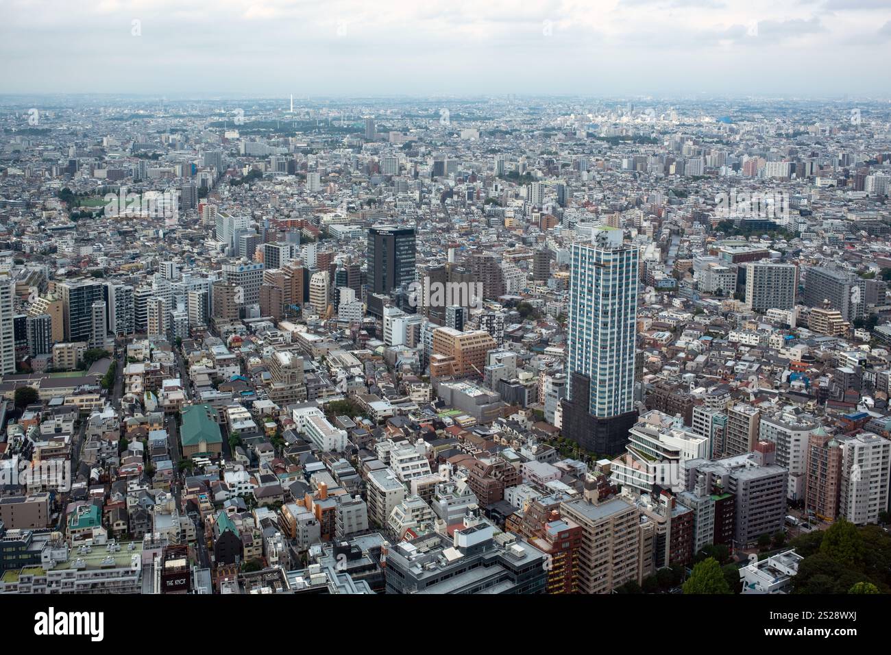 Vista dall'edificio del governo metropolitano di Tokyo a Shinjuku Tokyo Giappone Foto Stock