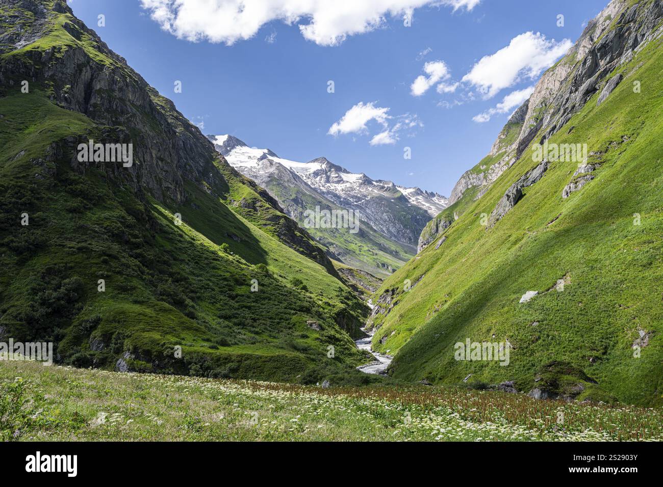 Valle di montagna con torrente Isel, Umbaltal, gruppo Venediger, Parco Nazionale degli alti Tauri, Tirolo Orientale, Tirolo, Austria, Europa Foto Stock