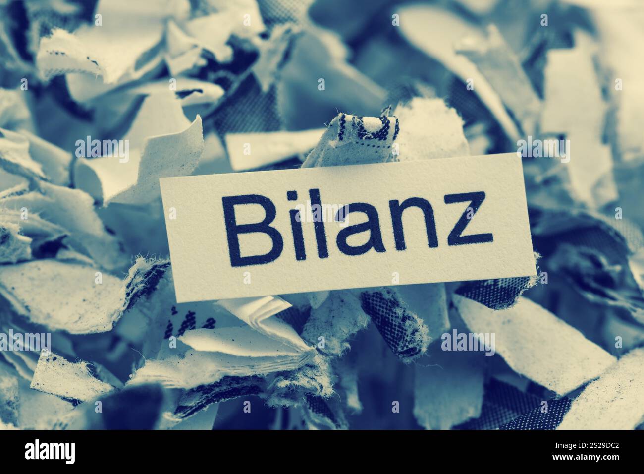 Frammenti di carta con bilancio per parole chiave, foto simboliche per la distruzione dei dati, il bilanciamento e l'analisi economica Foto Stock