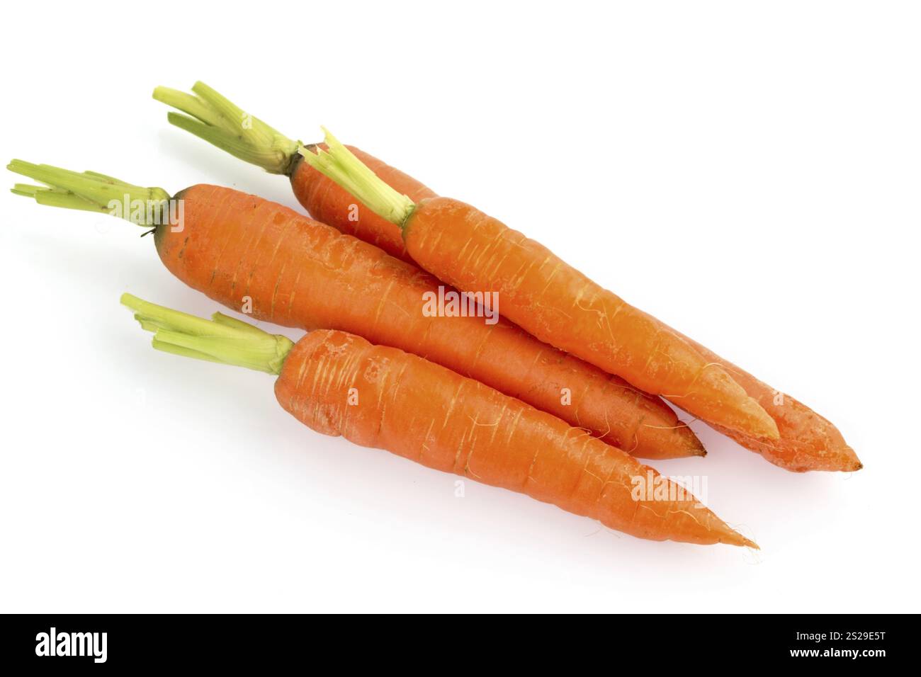 Carote coltivate biologicamente su sfondo bianco. Frutta e verdura fresche sono sempre salutari. Austria Foto Stock