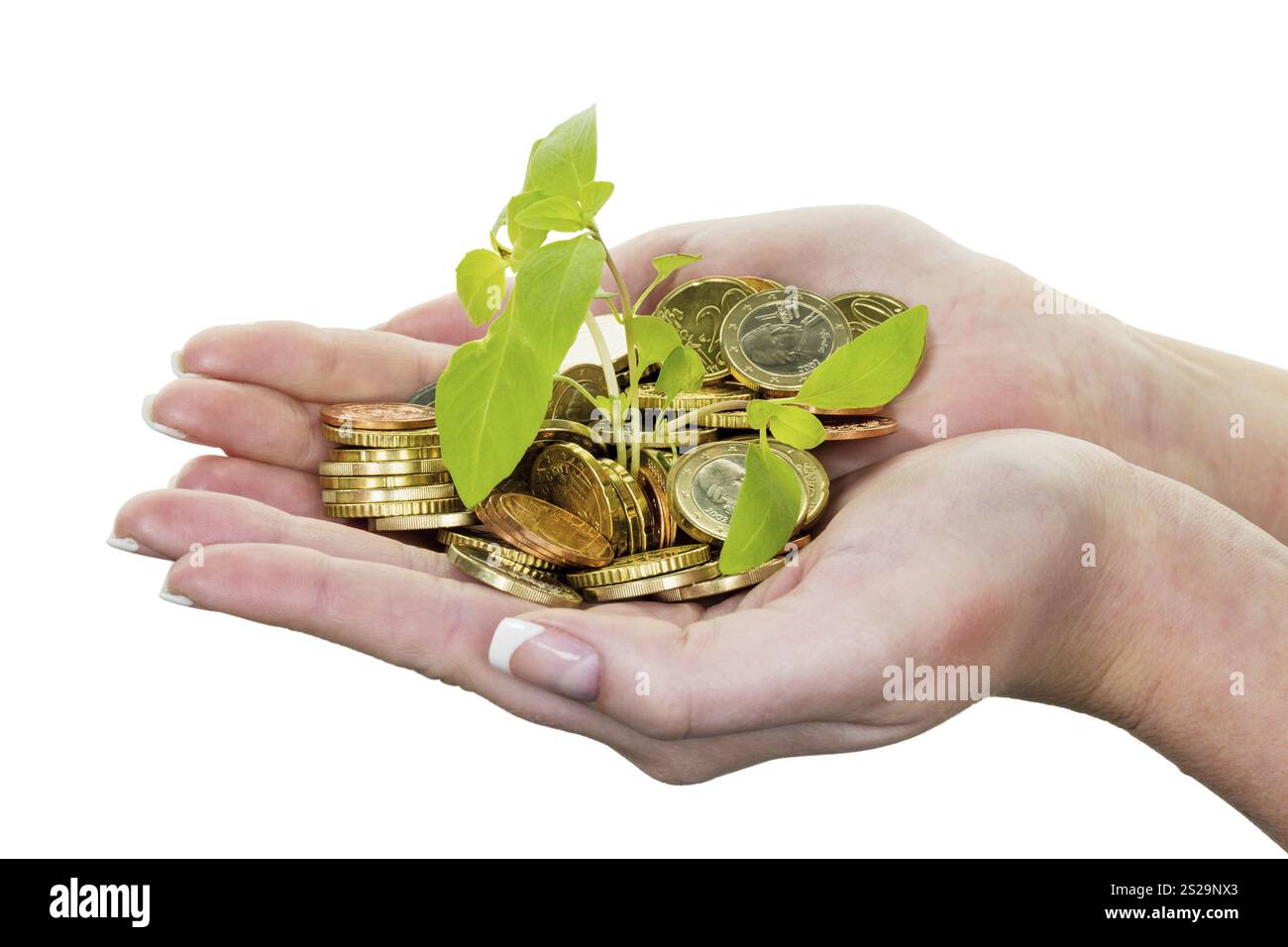 Mani con soldi e piante. Foto simbolica per la crescita del capitale attraverso l'interesse durante il salvataggio. Austria Foto Stock