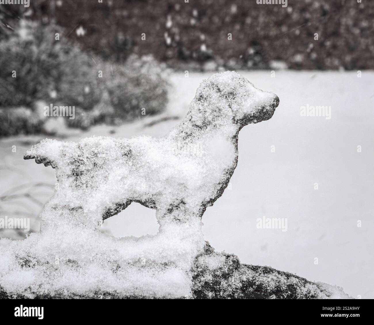 Un primo piano di un ornamento di cani in metallo innevato in un giardino innevato, che mette in risalto le texture intricate e evoca una serena atmosfera invernale. Perfetto f Foto Stock