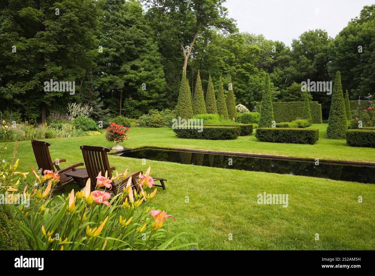 Orange Hemerocallis - gigli e sedie a sdraio in legno di teak su un prato verde curato con piscina a specchio in stile italiano e Thuja - Cedri ritagliati. Foto Stock