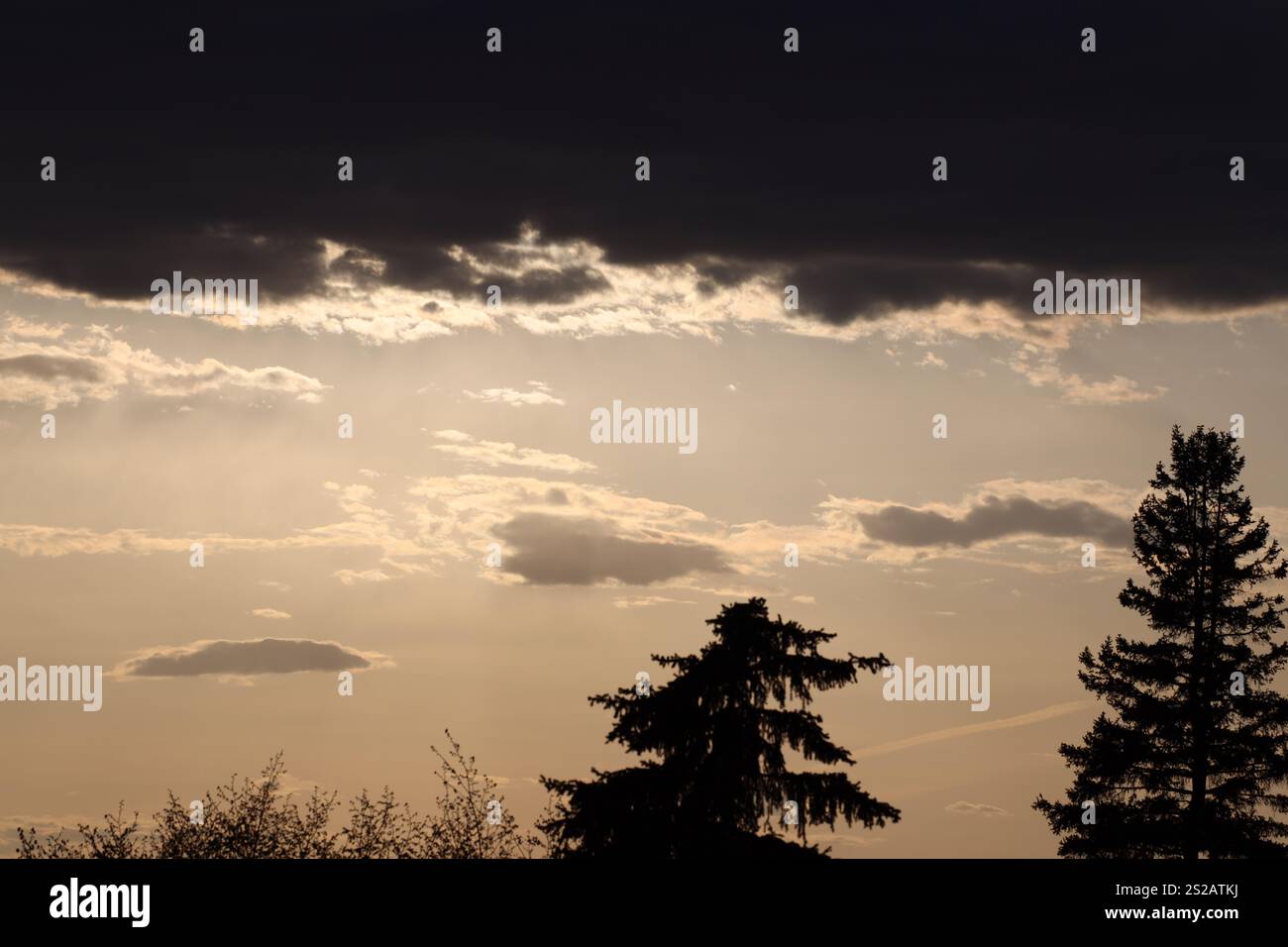 le nuvole brillano di bianco e oro sotto il sole, oltre alle nuvole di tempesta che si incombono sugli alberi Foto Stock