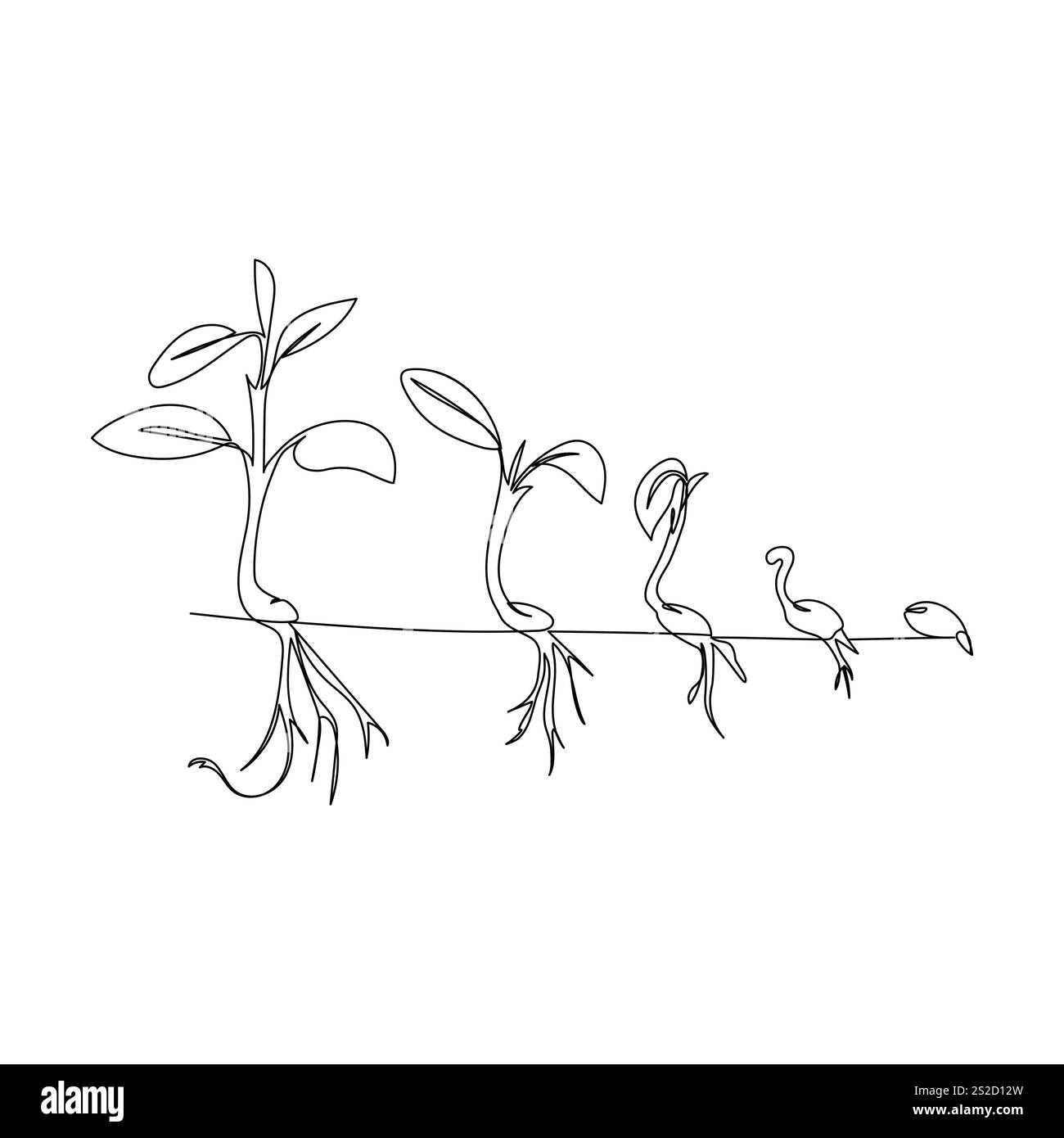Immagine grafica vettoriale a una linea continua dell'albero di crescita delle piante, Illustrazione Vettoriale