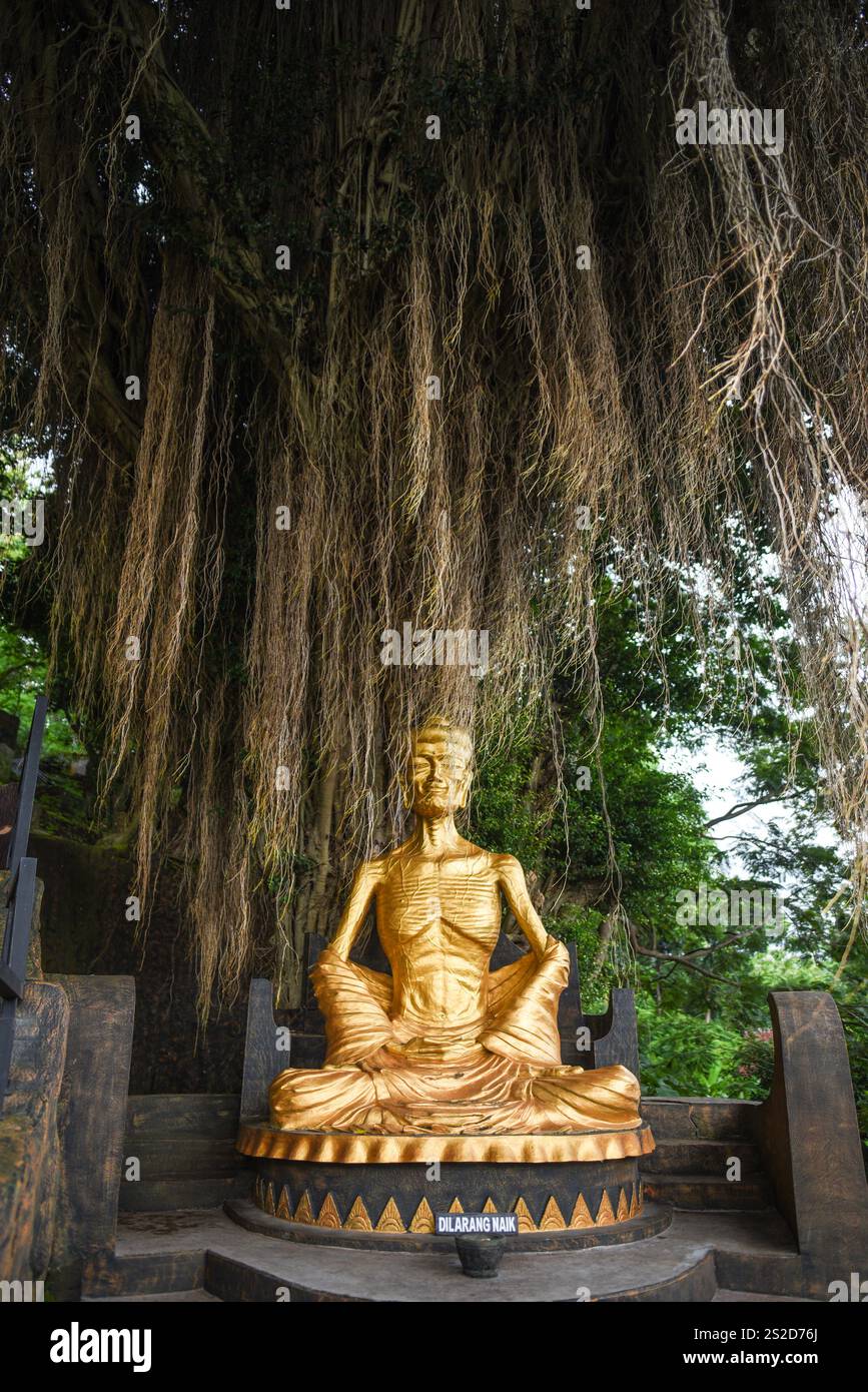 Primo piano di una statua di Buddha d'oro, tempio di Vihara Ratanavana Arama, Lasem Rembang, Giava centrale, Indonesia Foto Stock