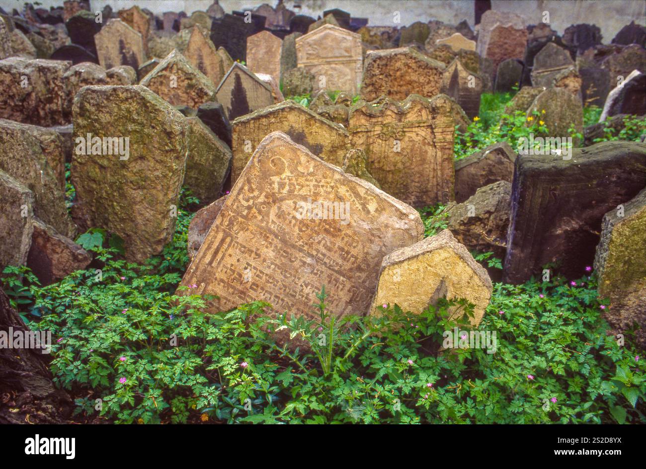 Repubblica Ceca, Praga, il vecchio cimitero ebraico è uno dei più grandi del suo genere in Europa e uno dei più importanti monumenti storici ebraici Foto Stock