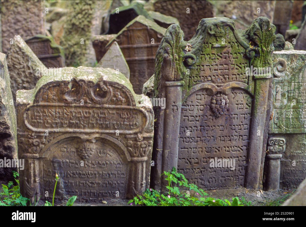 Repubblica Ceca, Praga, il vecchio cimitero ebraico è uno dei più grandi del suo genere in Europa e uno dei più importanti monumenti storici ebraici Foto Stock