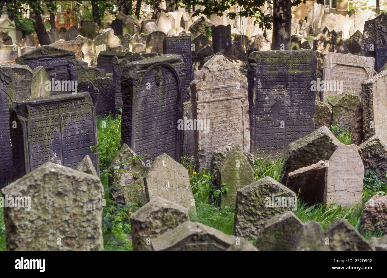 Repubblica Ceca, Praga, il vecchio cimitero ebraico è uno dei più grandi del suo genere in Europa e uno dei più importanti monumenti storici ebraici Foto Stock