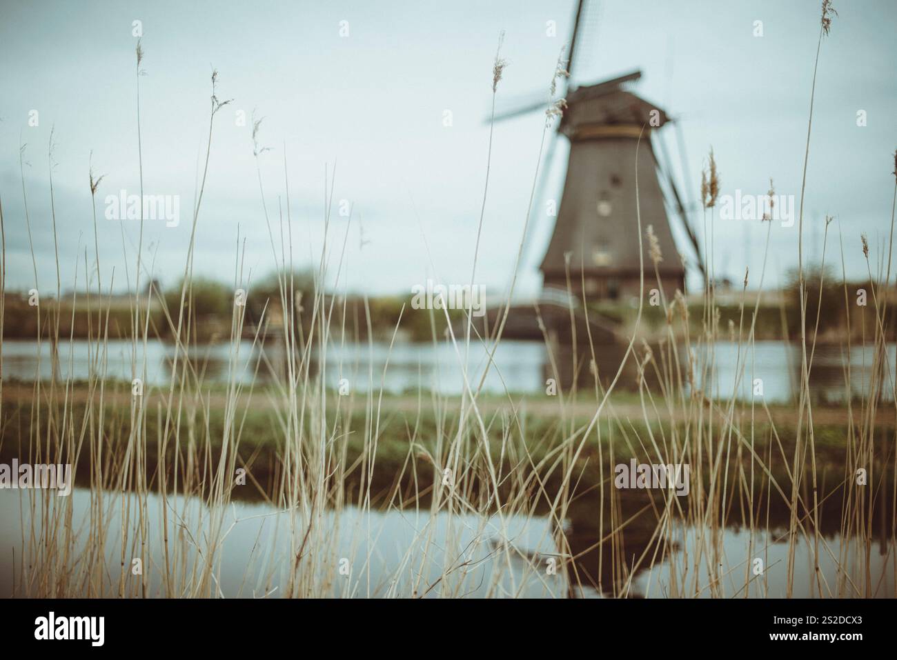 Mulino a vento sul lungomare nel paesaggio rurale, Paesi Bassi Foto Stock