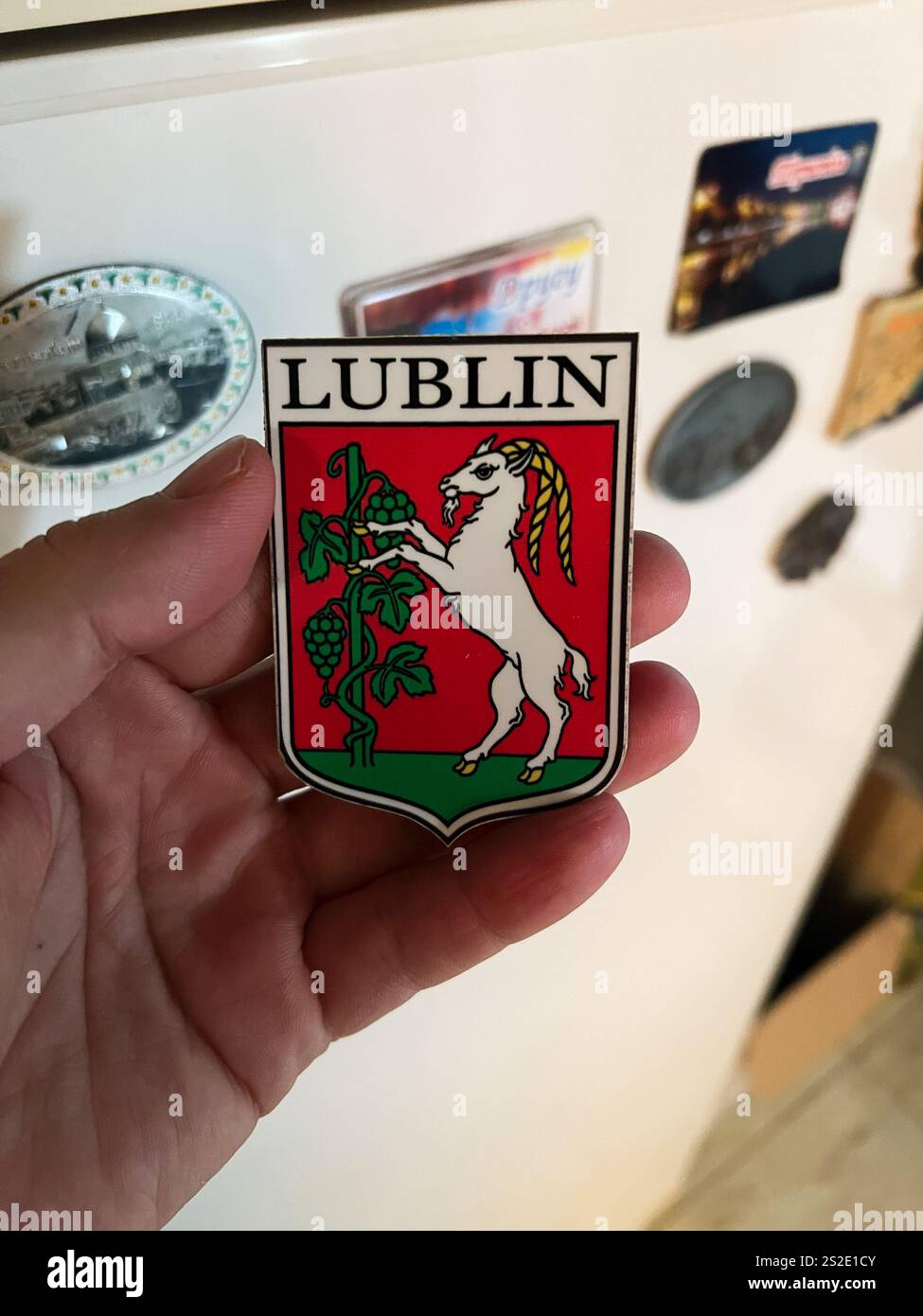 Kiev, Ucraina - 07 gennaio 2025: Primo piano di una mano che mostra una calamita ricordo dello stemma di Lublino, con una distinta raffigurazione di una capra Foto Stock