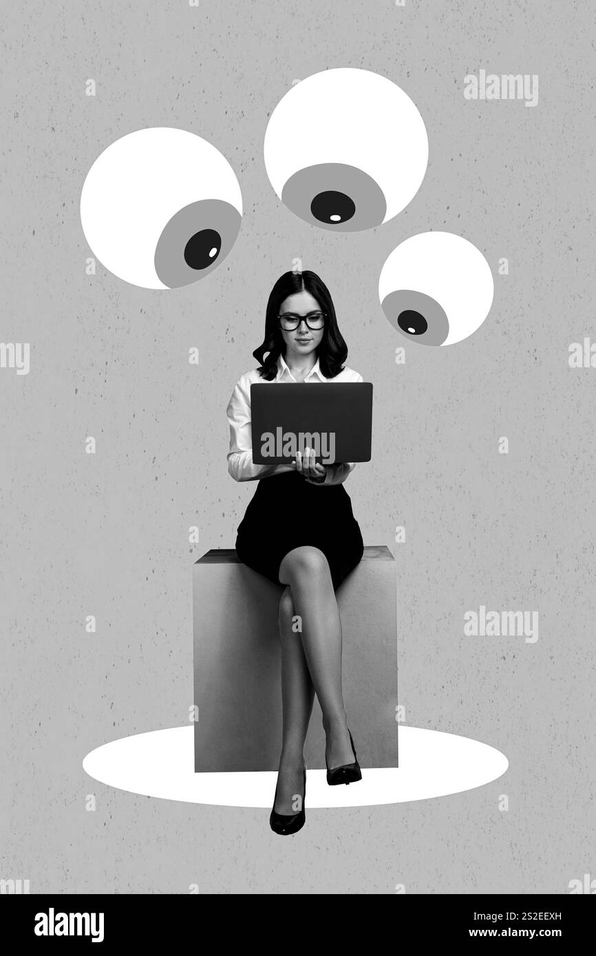 Foto creativa 3D collage illustrazione poster immagine di successo lady utilizzare il tempo di lavoro netbook isolato su sfondo pittura Foto Stock