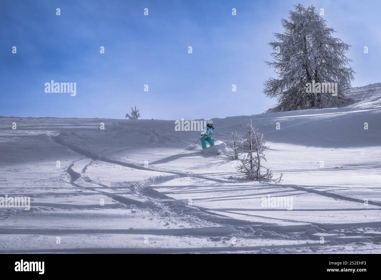 Uno snowboarder scivola abilmente lungo una pista innevata incontaminata sotto un cielo azzurro, circondato da alberi ghiacciati, incarnando lo spirito dell'inverno Foto Stock
