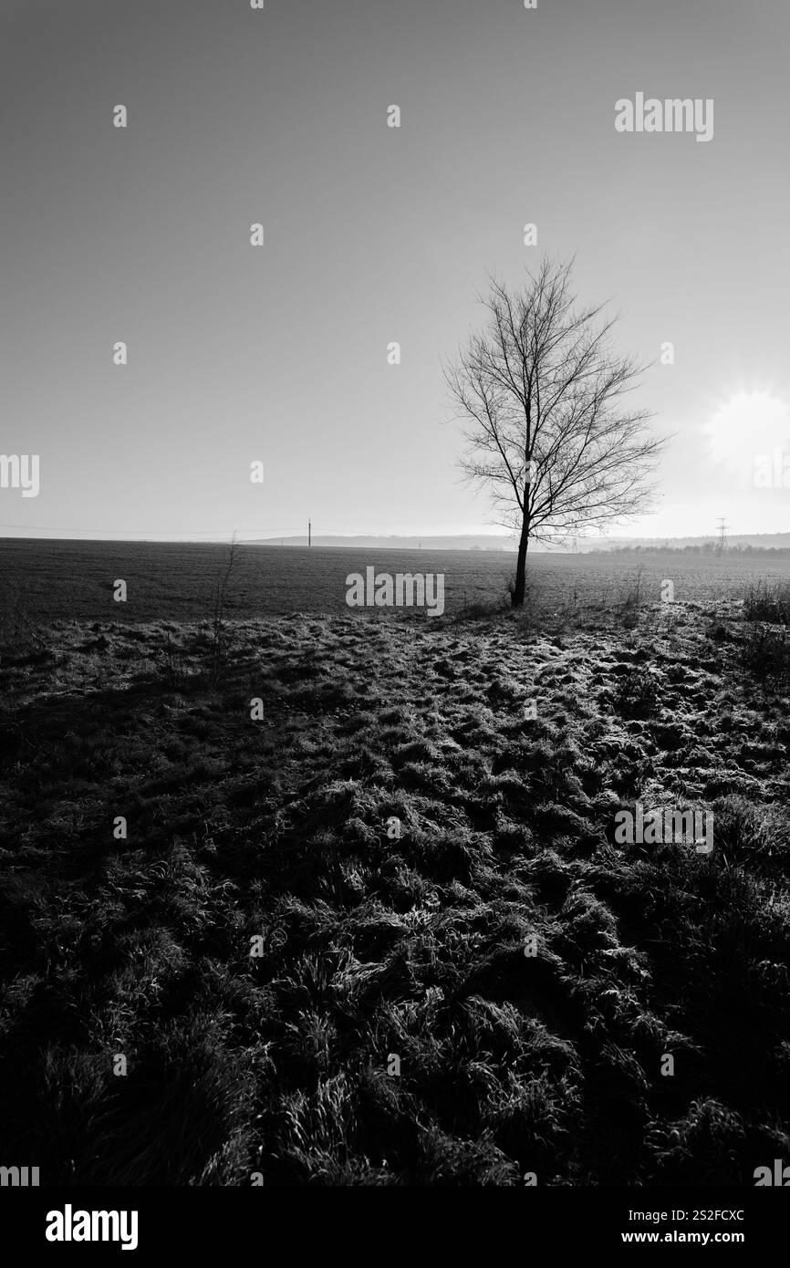 Un bellissimo paesaggio mattutino. Una calda atmosfera di alba. Foto Stock