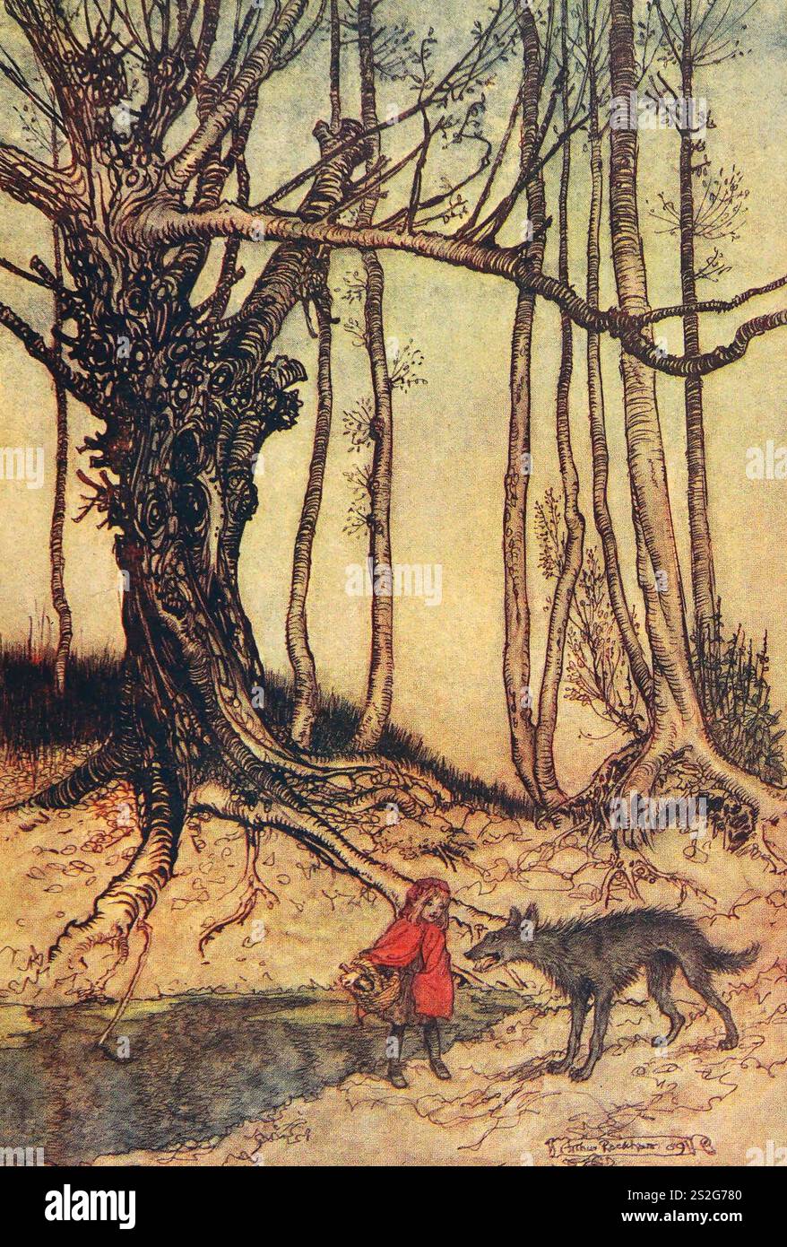 Quando e' entrata nel bosco, Cappucccetto Rosso ha incontrato un lupo, Arthur Rackham Foto Stock