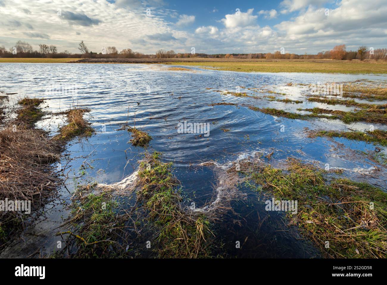 Acqua in un prato allagato dopo forti piogge, Nowiny, Polonia orientale Foto Stock