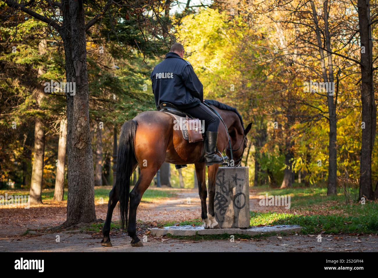L'acqua potabile del cavallo della polizia proviene dalla fontana pubblica di Sofia, Bulgaria, Europa orientale, Balcani, UE Foto Stock