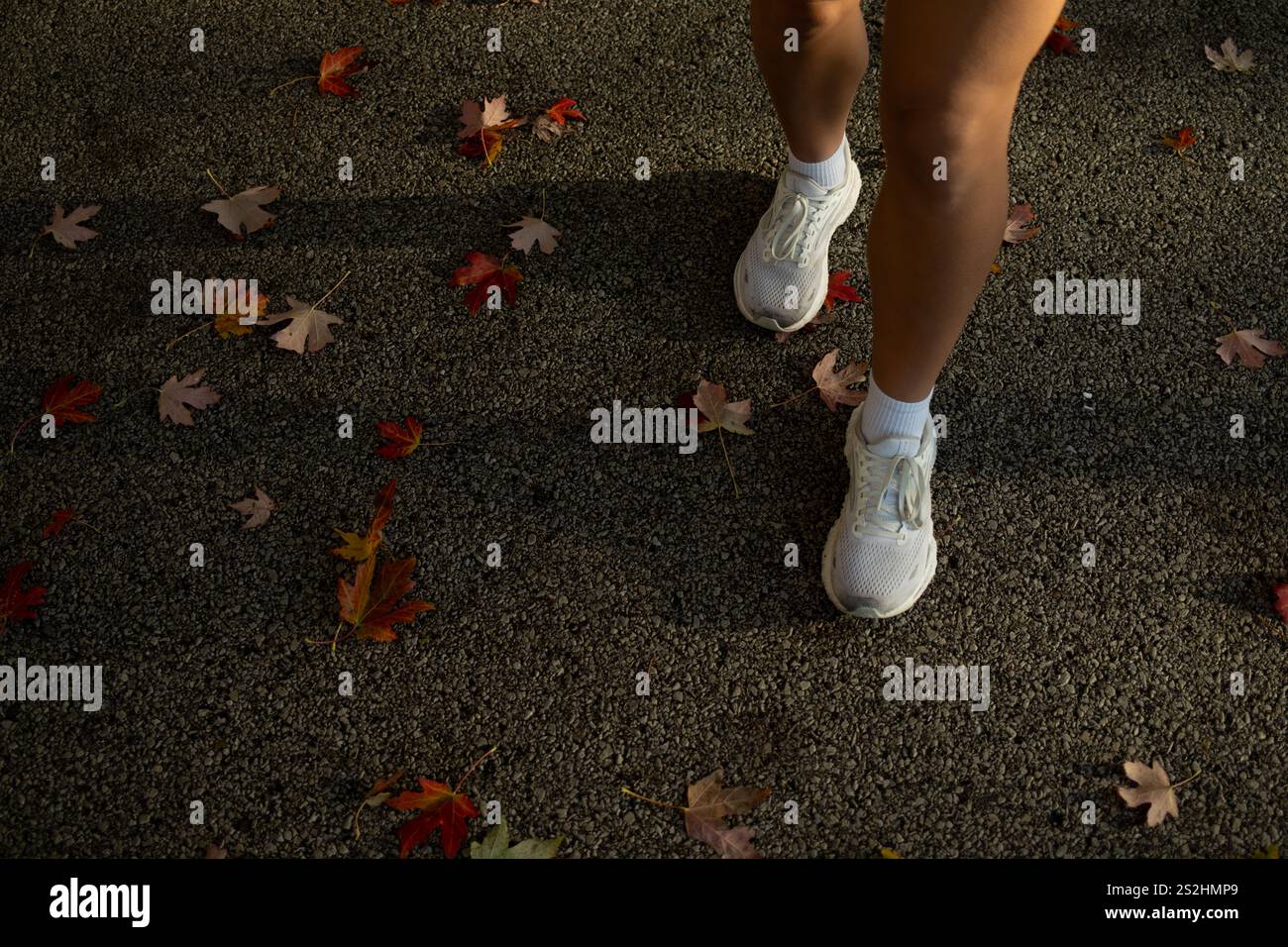 Allacciatura per una corsa Foto Stock