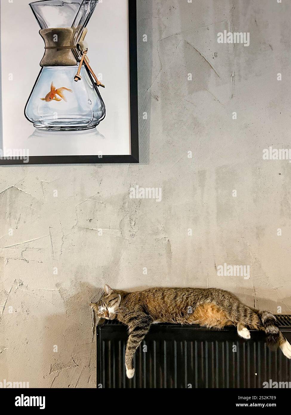 Questa foto cattura l'essenza del relax in un pomeriggio primaverile a Istanbul. Un gatto da tabby giace sparsi su un radiatore, crogiolandosi di calore, è proprio Foto Stock