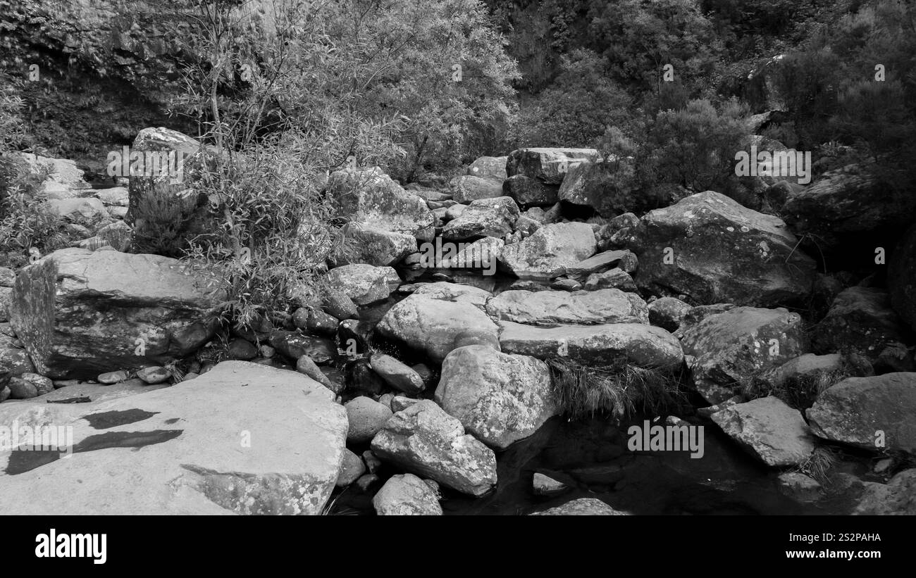 Un'immagine in bianco e nero di un letto roccioso con massi sparsi, acque poco profonde e vegetazione densa circostante in un ambiente naturale. Foto Stock