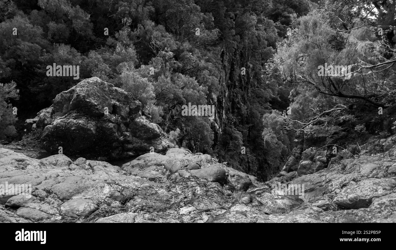 Una fotografia in bianco e nero di un terreno roccioso che conduce a un fitto burrone boscoso, catturando l'aspro paesaggio naturale e la drammatica profondità. Foto Stock