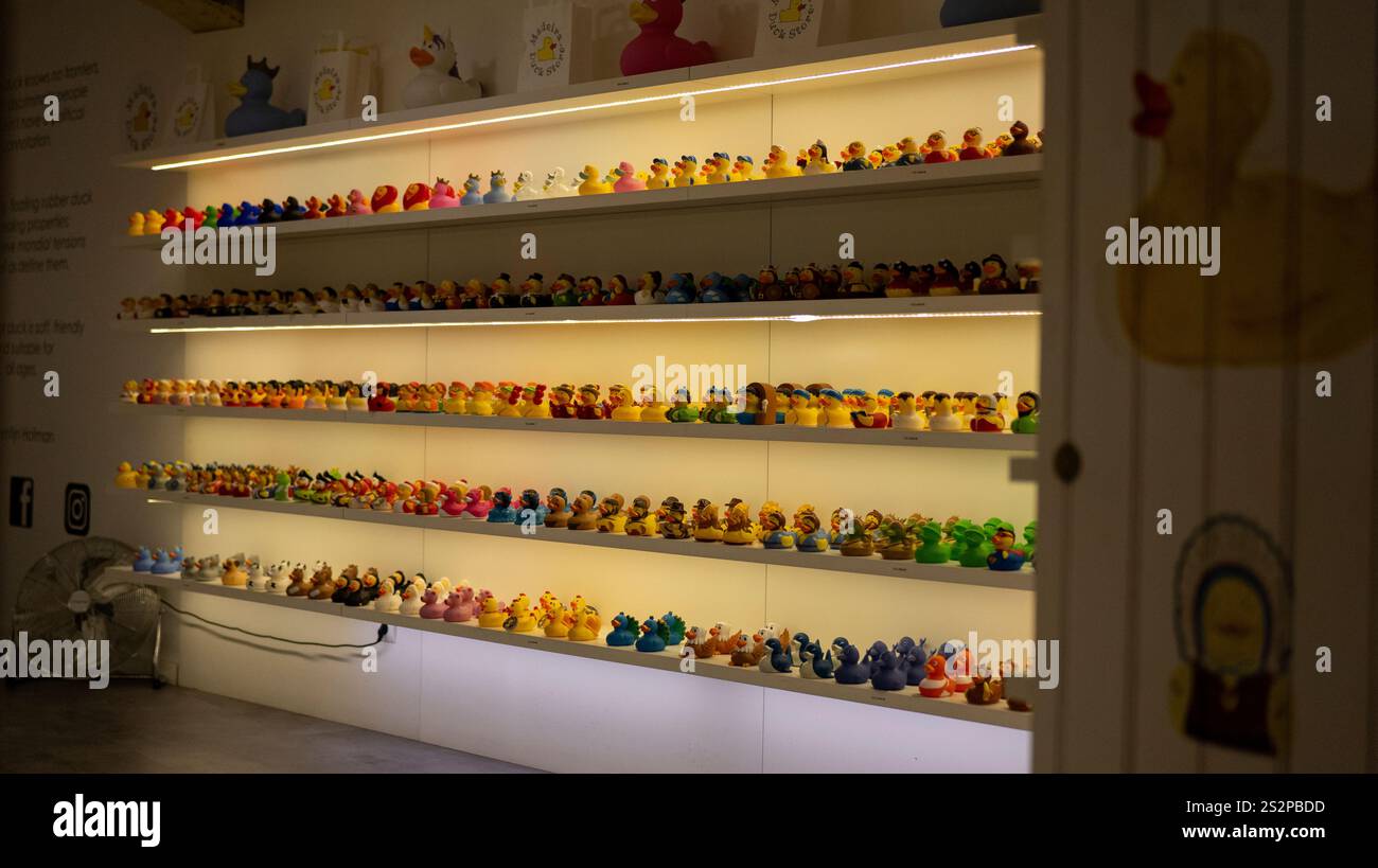 Una colorata esposizione di anatre di gomma disposte su scaffali illuminati in un ambiente interno, che mostra una collezione unica e giocosa. Foto Stock