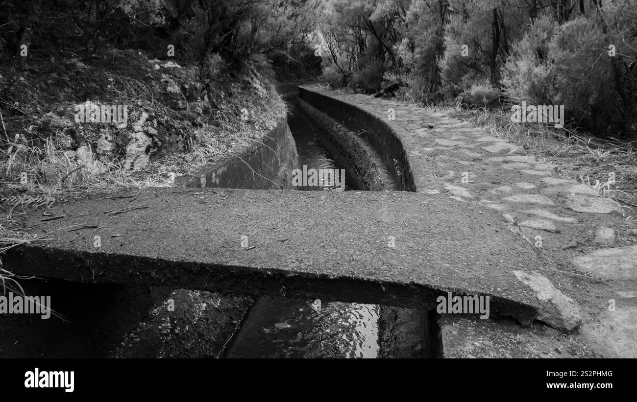 Un'immagine in bianco e nero di uno stretto ponte di pietra su un canale d'acqua in una foresta, circondato da alberi e un sentiero roccioso. Foto Stock
