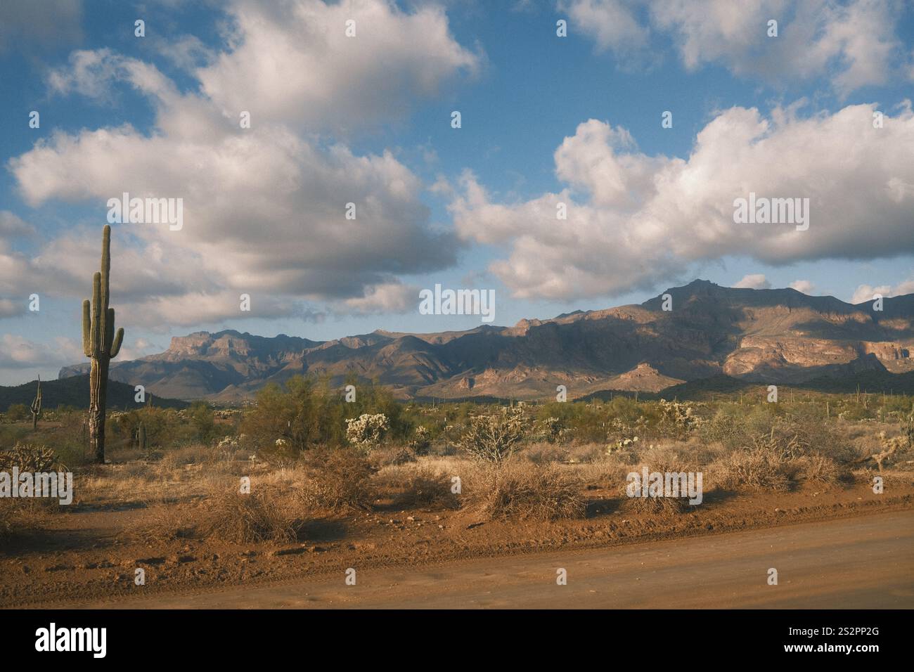 Vista dal campeggio in Arizona Foto Stock