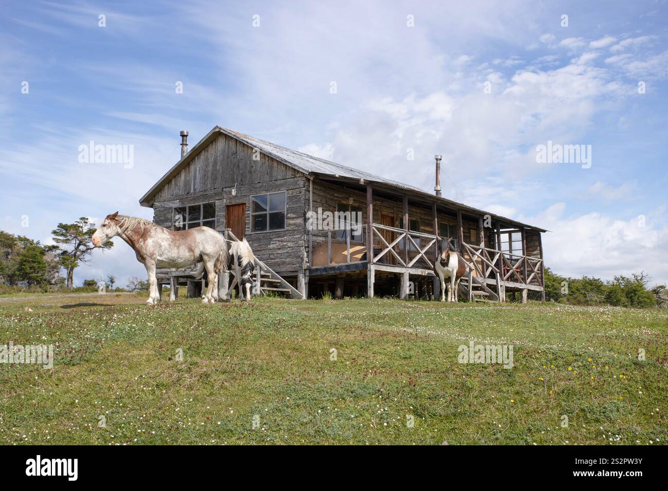 Un piccolo ranch con cavalli fuori, Puerto Williams, Cile. Foto Stock