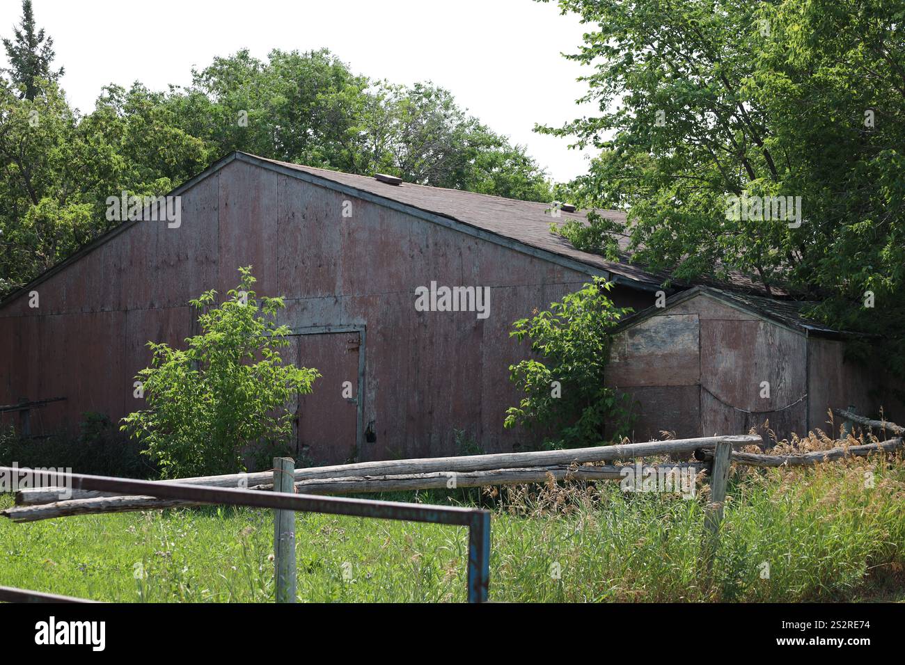 garage e capannone di attrezzature agricole rustiche che lentamente sono invasi Foto Stock