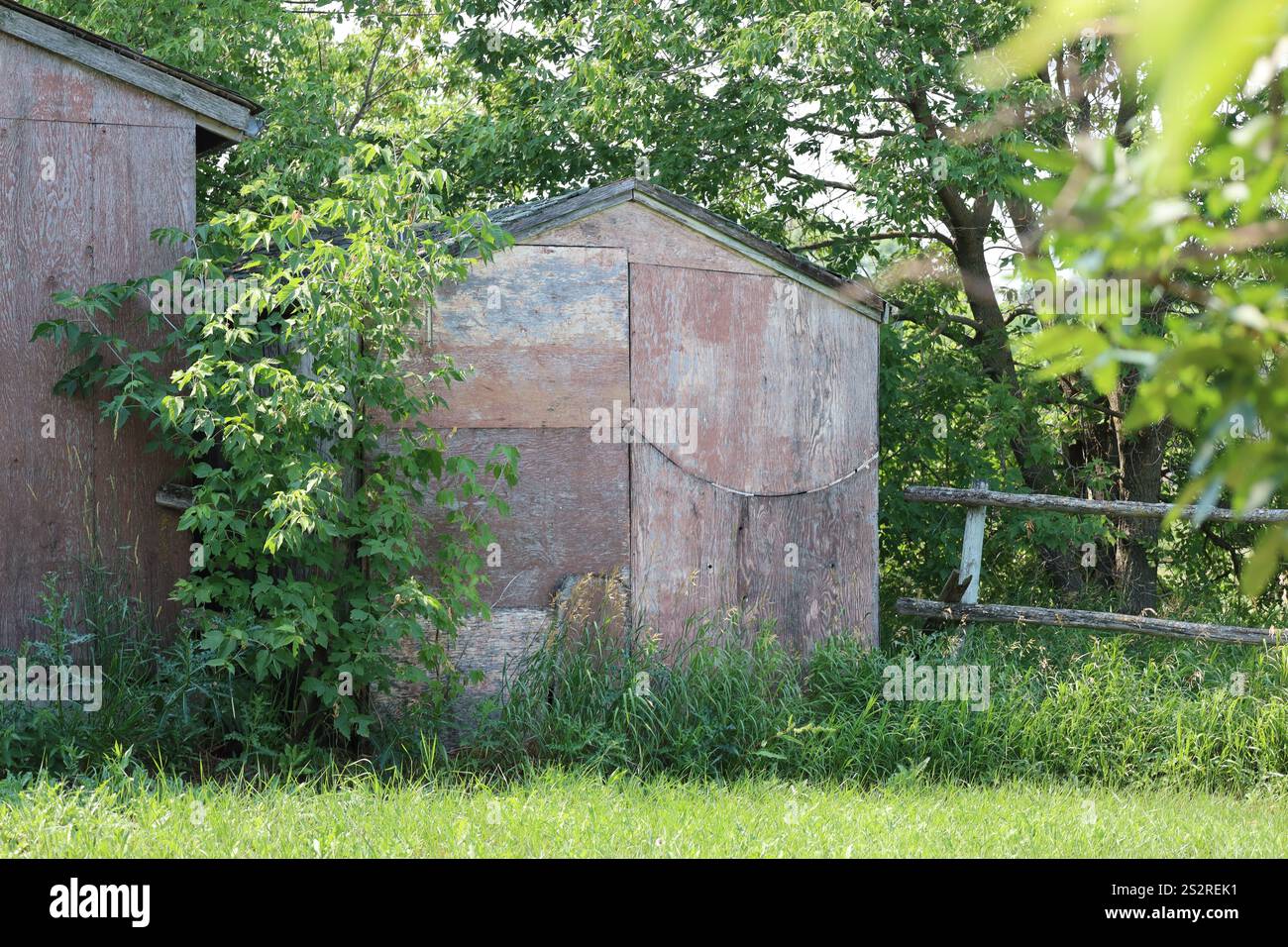 piccolo capannone di fattoria in rovina Foto Stock