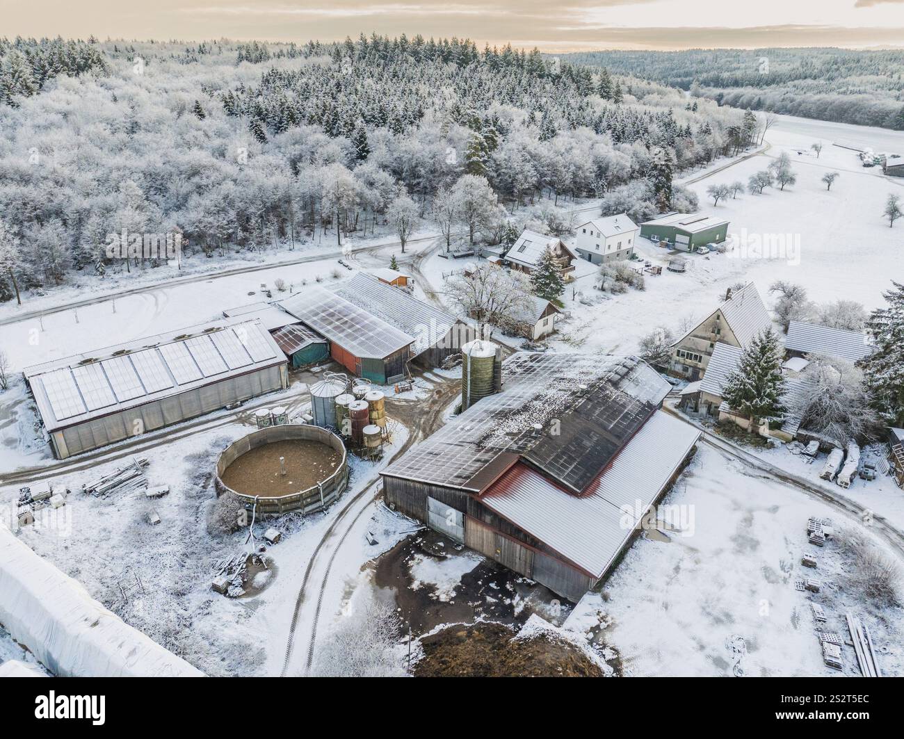Vista invernale di una fattoria con tetti innevati e foreste sullo sfondo, Haselstaller Hof, distretto di Calw, Foresta Nera, Germania, Europa Foto Stock