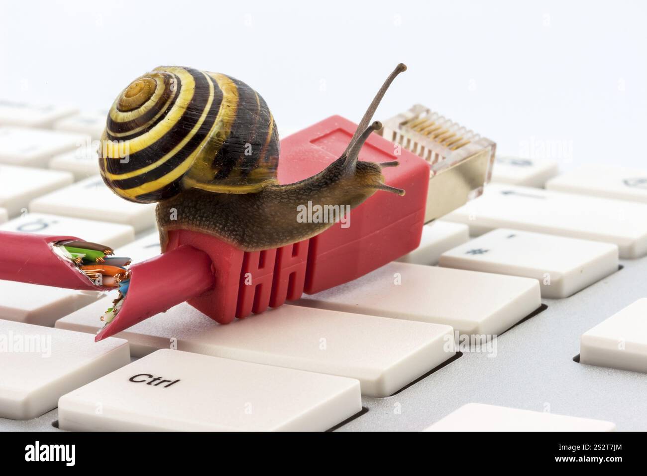 Foto simbolica per un accesso Internet lento. La connessione a banda larga non è disponibile ovunque. Austria Foto Stock