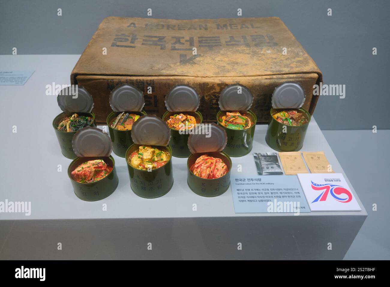 Barattoli da combattimento. Da uno spettacolo del 70° anniversario della cooperazione USA-Corea. Al Museo Nazionale di storia Contemporanea coreana di Seoul. Foto Stock