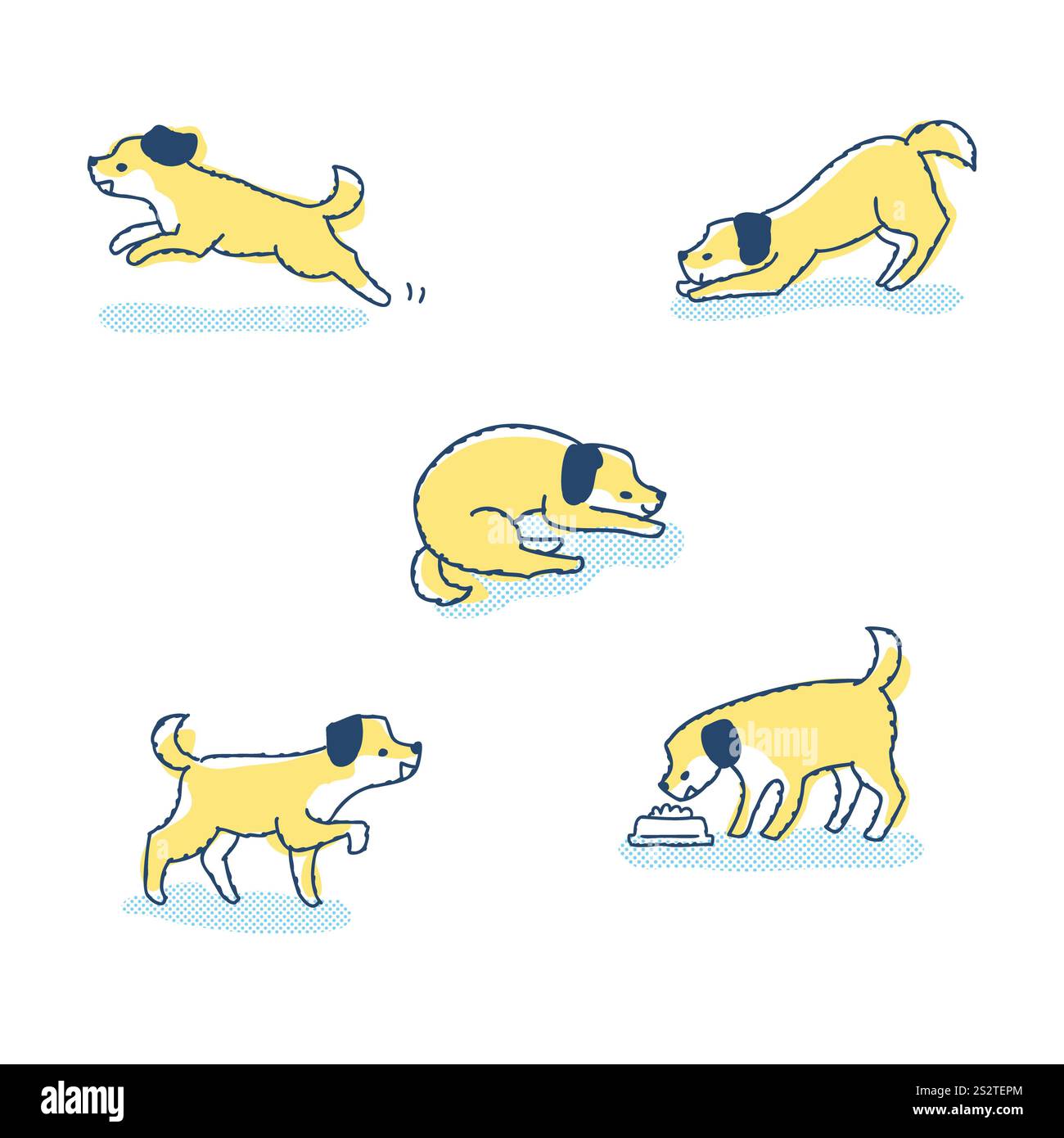 Cani in pose diverse Set di variazioni Foto Stock