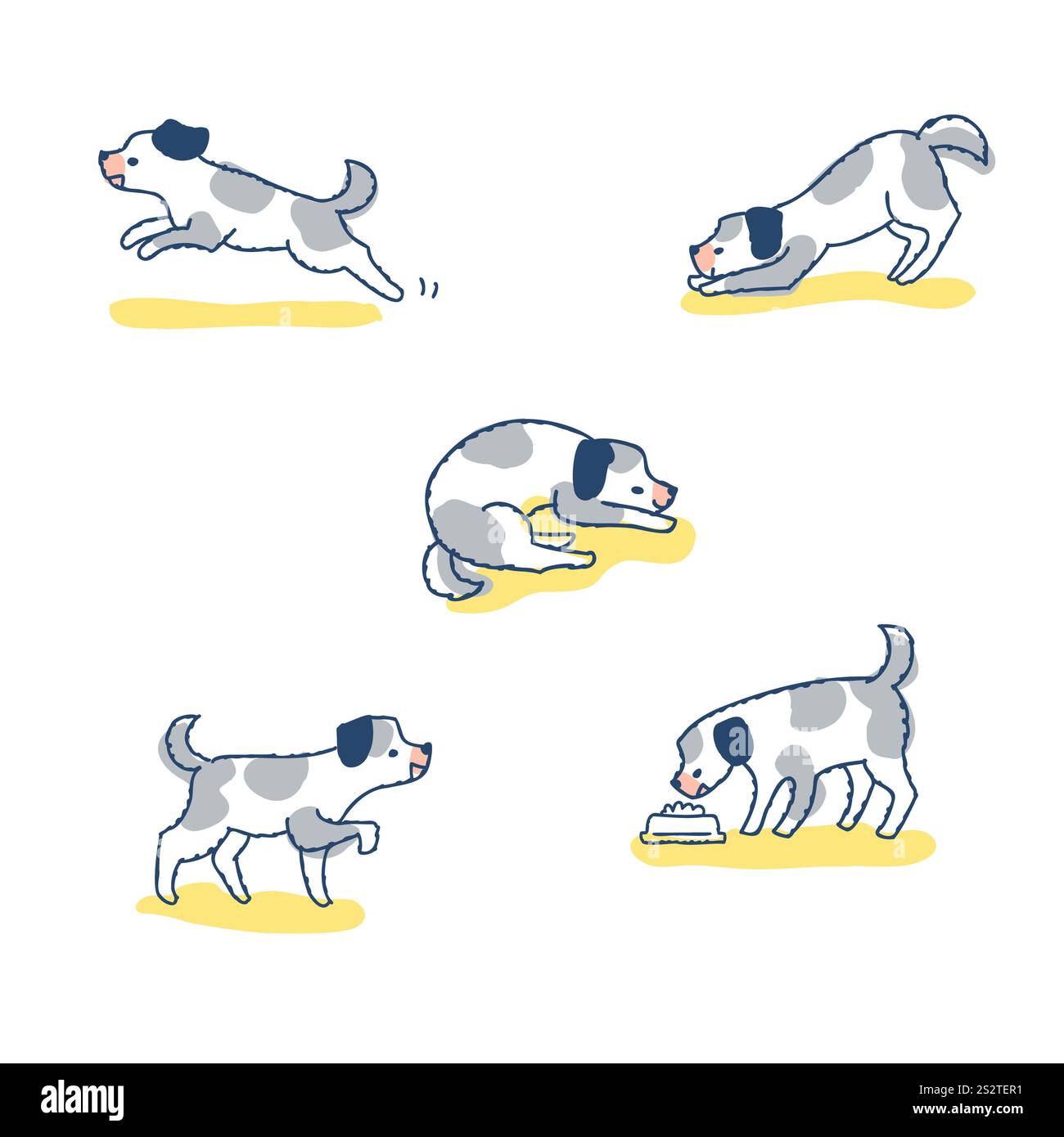 Cani in pose diverse Set di variazioni Foto Stock