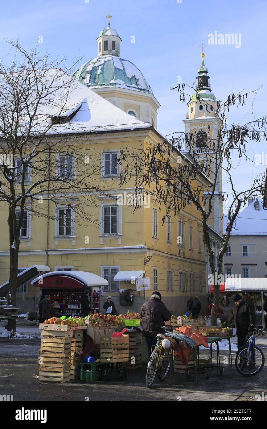 Chiosco di frutta sulla piazza del mercato, dietro la cattedrale di San Nicola, Lubiana Lubiana, Slovenia centrale, alta Carniola, Slovenia, Europa Foto Stock