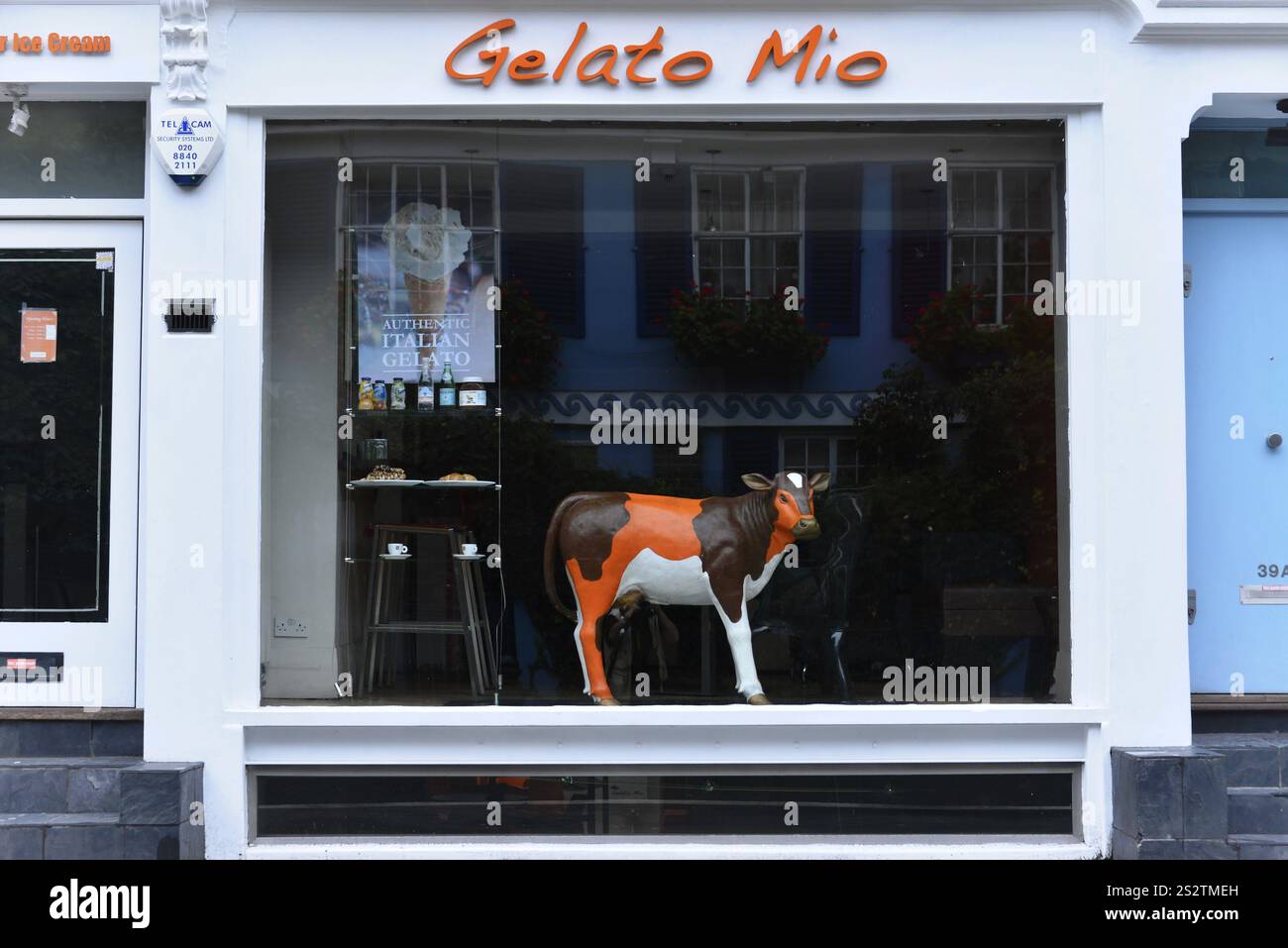 Vetrina di una gelateria con una colorata scultura di mucca di fronte a un edificio dipinto di blu e bianco, Londra, regione di Londra, Inghilterra, Unit Foto Stock