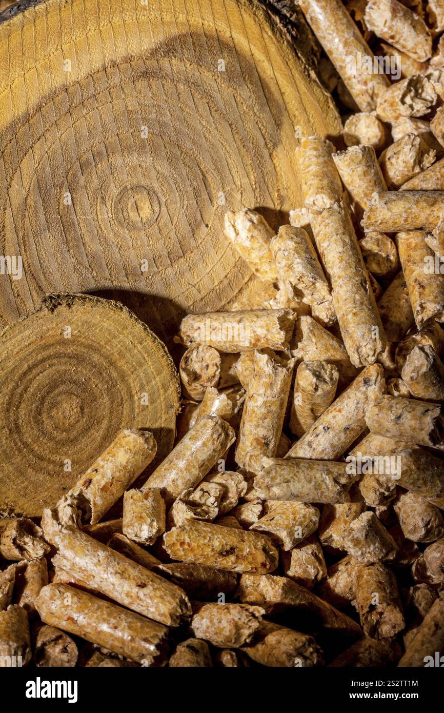 Pellet per il riscaldamento come fonte di energia alternativa. Riscaldamento ecologico Austria Foto Stock