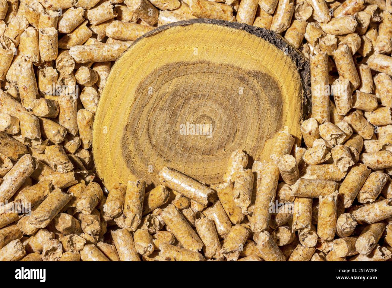 Pellet per il riscaldamento come fonte di energia alternativa. Riscaldamento ecologico Austria Foto Stock