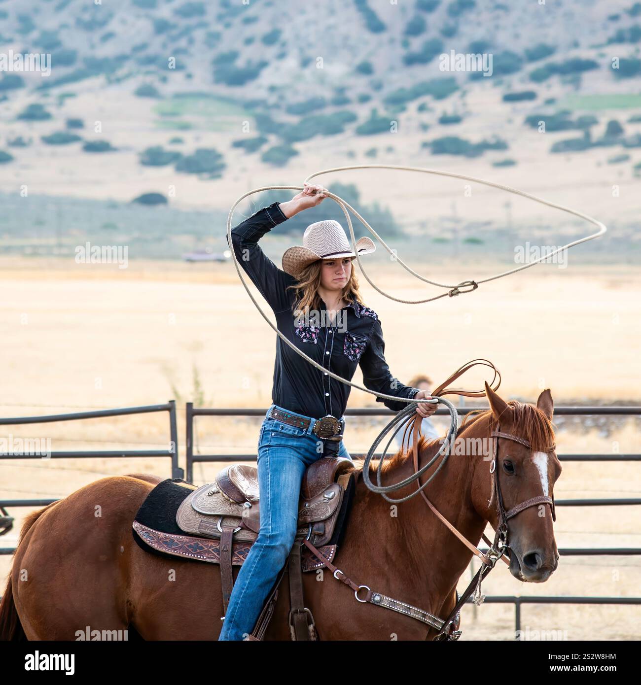 Un'abile cowgirl pratica il lassoing mentre cavalca un cavallo bruno in un ranch corral. Vestito con una camicia nera, jeans blu e un cappello da cowboy a tegole larghe Foto Stock Un'abile cowgirl pratica il lassoing mentre cavalca un cavallo bruno in un ranch corral. Vestito con una camicia nera, jeans blu e un cappello da cowboy a tegole larghe Foto Stock