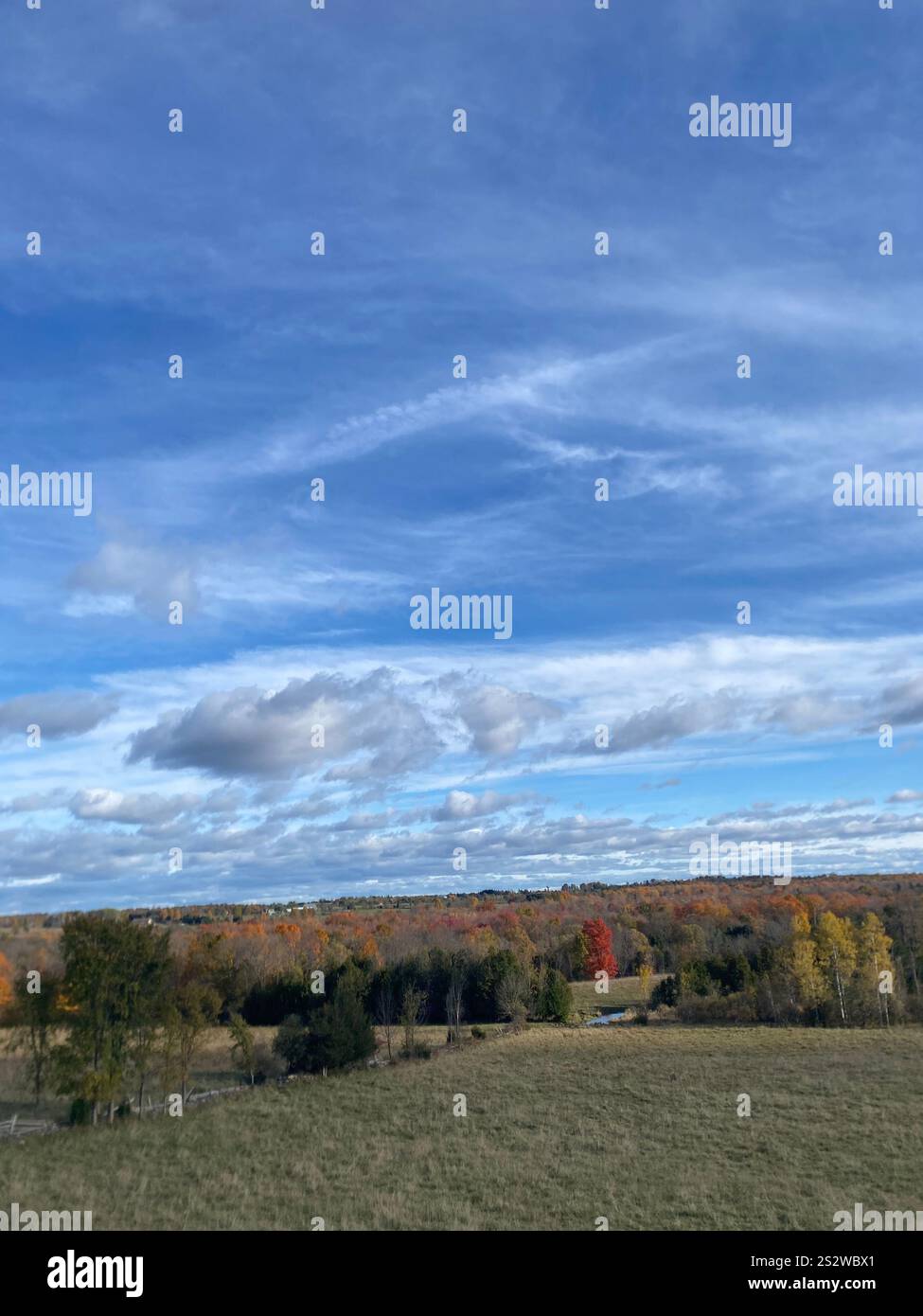 Un mistico orizzonte autunnale con vorticose nuvole grigie e bianche, mentre la luce che svanisce illumina i ricchi rossi e le arance bruciate della foresta. - Immagine stock catturata con smartphone