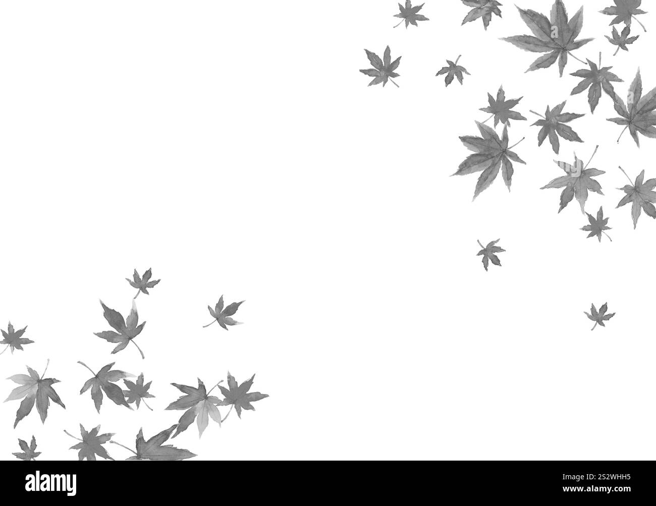 Cornice monotona acquerello di un albero d'acero in stile pittura a inchiostro Foto Stock
