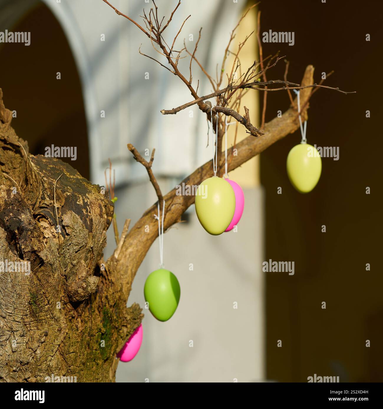 Albero decorato con uova di Pasqua durante le vacanze pasquali nel centro di Berlino, Germania Foto Stock