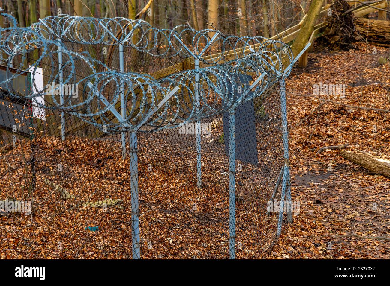 Pozzi di fuoco nella foresta sulla costa di Gdynia, monumenti militari, posizioni di artiglieria, luoghi storici della seconda guerra mondiale Foto Stock